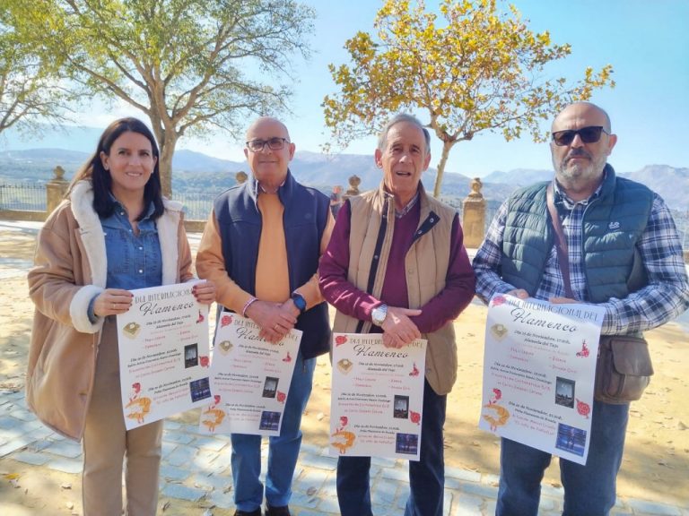 La delegación de Cultura presenta las actividades con las que celebrará el Día Internacional del Flamenco