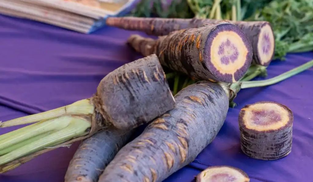 En la imagen se ven unas zanahorias moradas sobre una mesa con un mantel morado