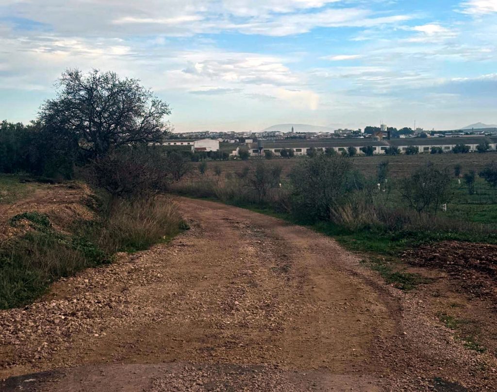 Camino Cañuelo en Campillos.