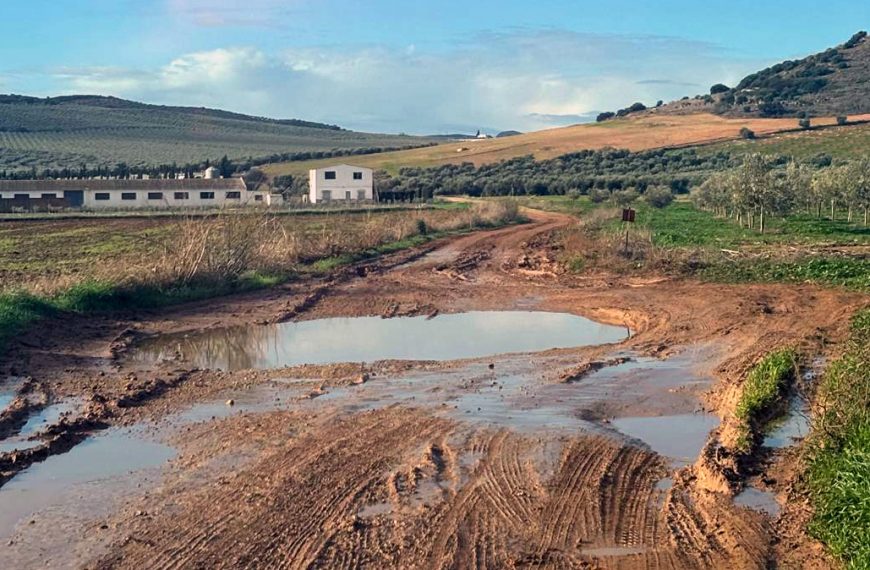 Camino Vallehermoso en Campillos.