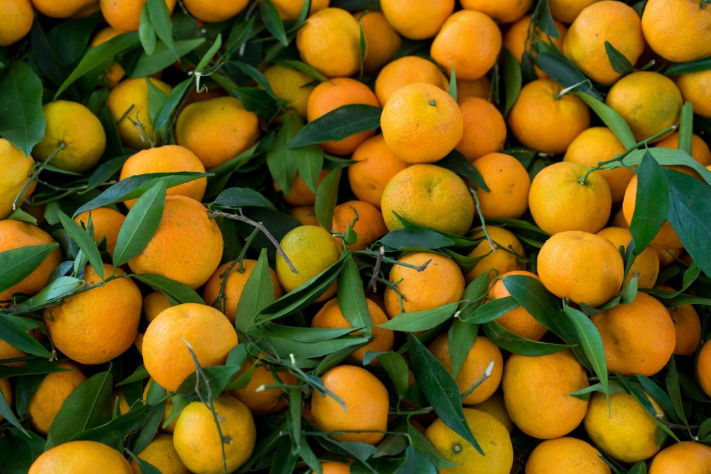 El Ayuntamiento de Humilladero inicia la retirada de naranjas para mantener el orden urbano