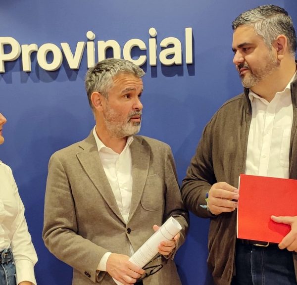 Representación socialista en La Diputación.