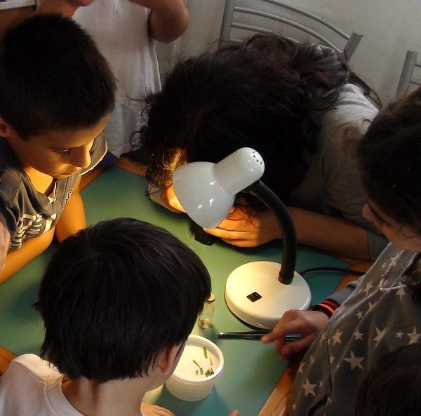 Niños realizan actividades.