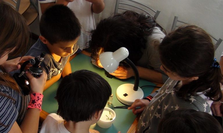 Niños realizan actividades.