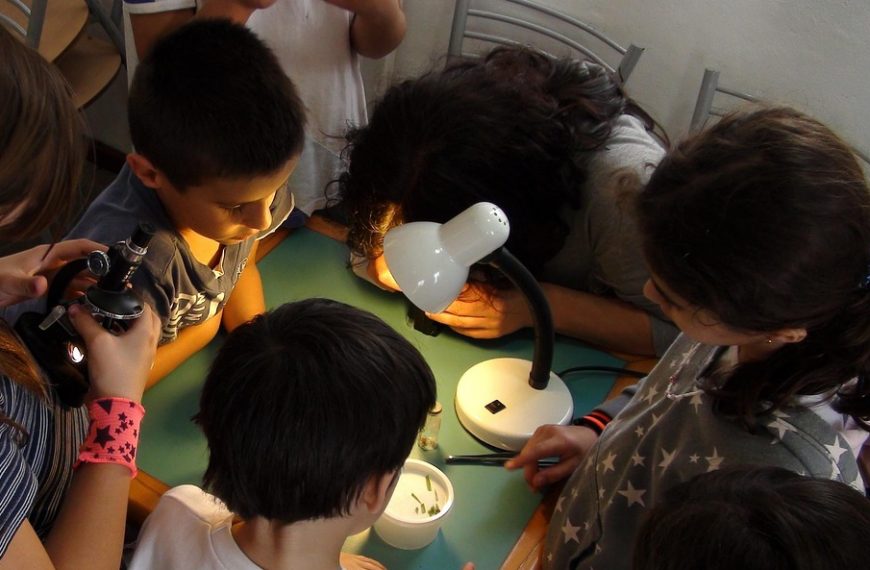 Niños realizan actividades.