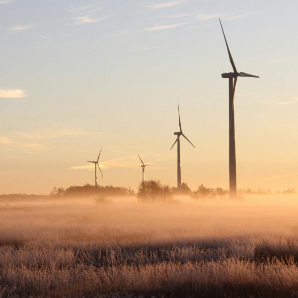 Convocan una manifestación contra los parques eólicos a los pies del Torcal de Antequera