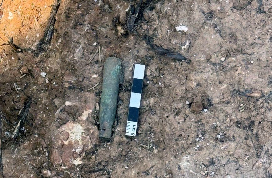 El Ayuntamiento iniciará los trabajos de exhumación e identificación genética en las fosas comunes de Campillos