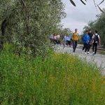 Cuevas Bajas inaugura tres nuevos monolitos de su Camino Mozárabe De Santiago.