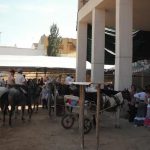 Villanueva de Algaidas se prepara para vivir una vibrante Romería de San Isidro en La Atalaya