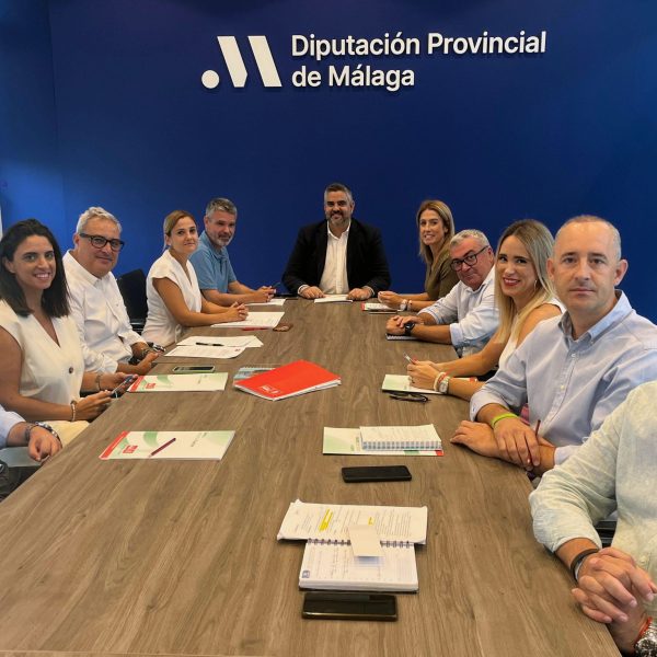El PSOE solicita la celebración de un pleno extraordinario en la Diputación para abordar el colapso de la sanidad pública malagueña