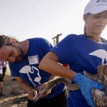 Fundación Unicaja colabora en el anillamiento de 600 flamencos en la Laguna de Fuente de Piedra