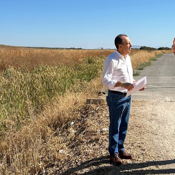 El PSOE exigirá en el Parlamento de Andalucía la limpieza de cauces y arroyos de Campillos