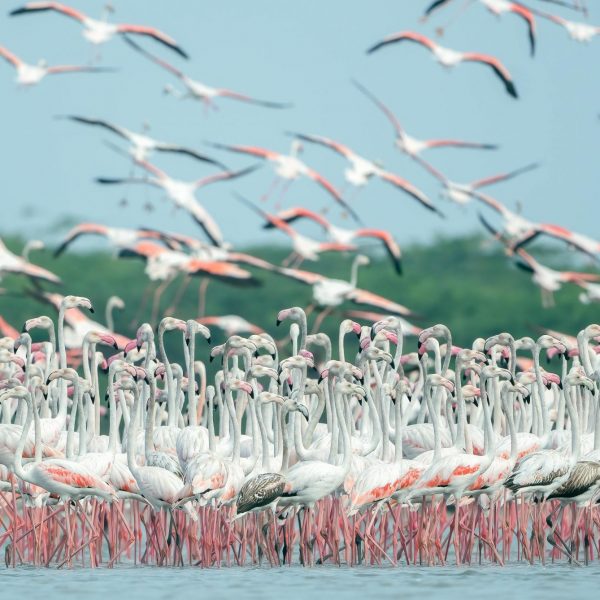 Fuente de Piedra celebra el 9º Fin de Semana del Bienestar Mundial con cultura, naturaleza y solidaridad
