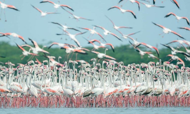 Fuente de Piedra celebra el 9º Fin de Semana del Bienestar Mundial con cultura, naturaleza y solidaridad