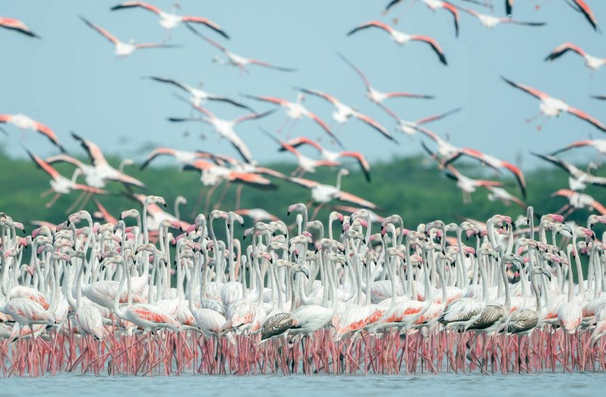 Fuente de Piedra celebra el 9º Fin de Semana del Bienestar Mundial con cultura, naturaleza y solidaridad