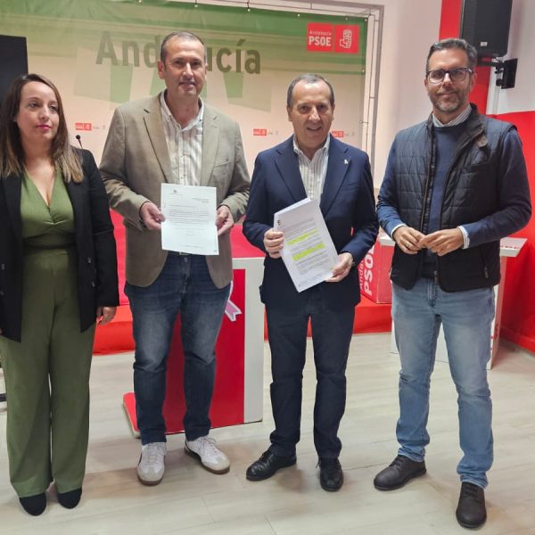 El PSOE de Antequera exige a Diputación avances en la cuneta peatonal hacia el cementerio de Cartaojal y la reconstrucción del Puente de Rojas