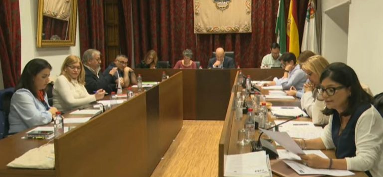 Las mociones del PSOE sobre el cribado de cáncer de mama y el PAEM salen adelante en Archidona pese al intento de bloqueo del PP