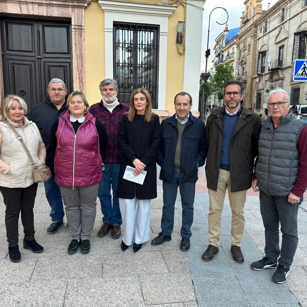 PSOE e IU llaman a participar en el 25N y alertan del incremento de la violencia machista