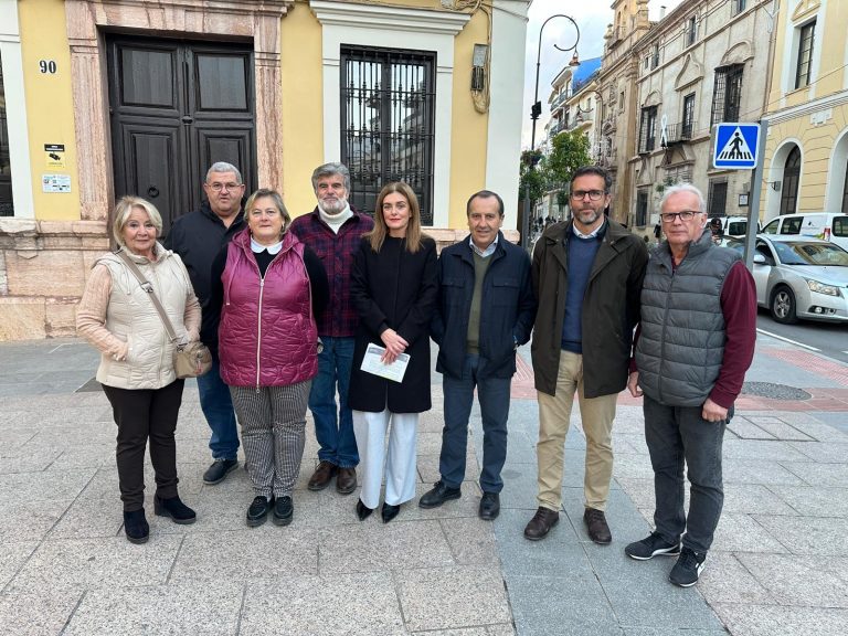 PSOE e IU llaman a participar en el 25N y alertan del incremento de la violencia machista
