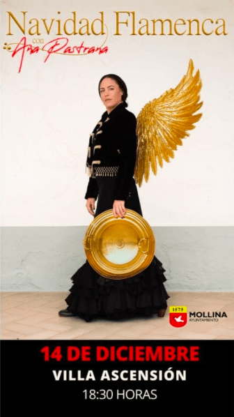 Captura de pantalla 2025-12-11 a las 15.53.39