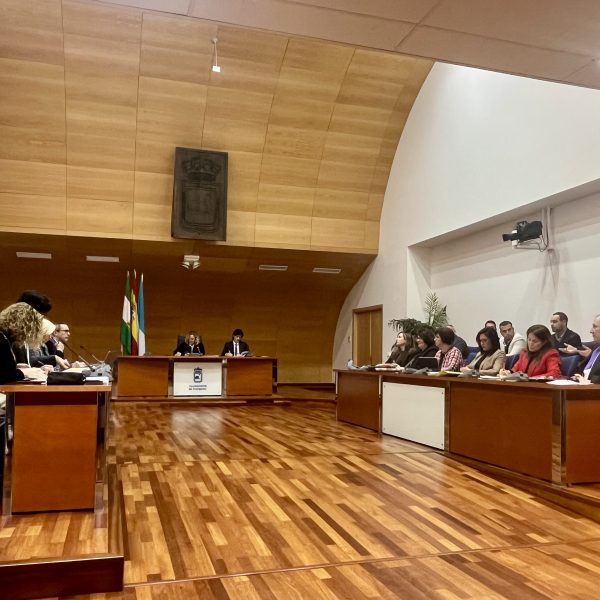 El Plan Normativo 2026 de Fuengirola incluye propuestas del PSOE para mejorar la gestión de ayudas y la convivencia ciudadana