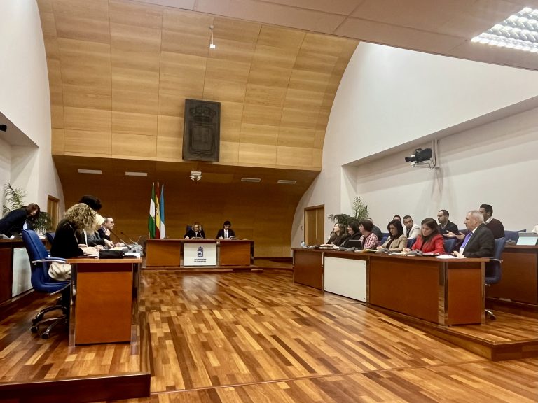 El Plan Normativo 2026 de Fuengirola incluye propuestas del PSOE para mejorar la gestión de ayudas y la convivencia ciudadana