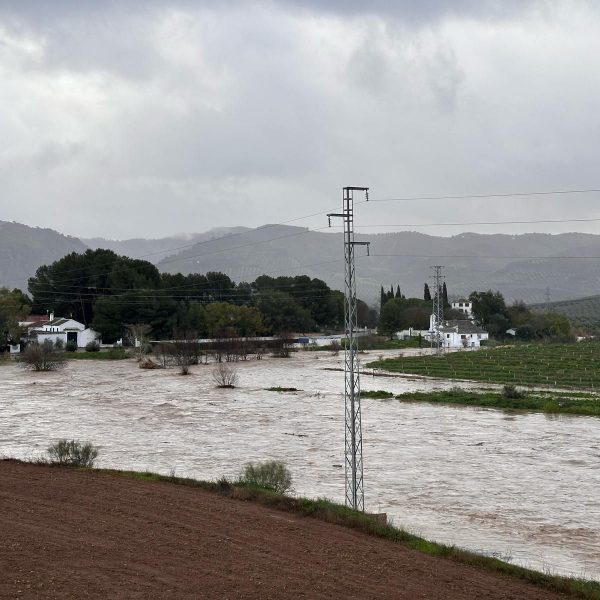 El PSOE de Archidona agradece la labor de los servicios de emergencia durante la borrasca Leonardo