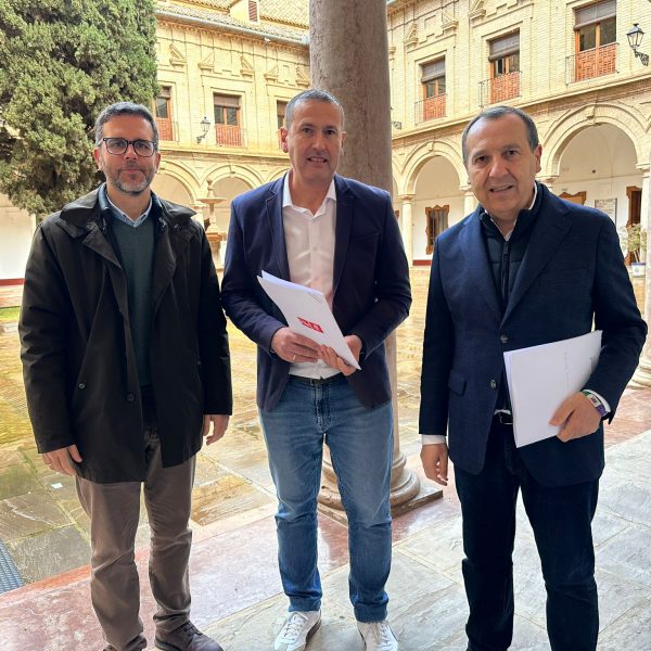 El PSOE logra el apoyo unánime de la Diputación para exigir a la Junta la reforma integral de la A-343