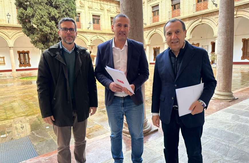 El PSOE logra el apoyo unánime de la Diputación para exigir a la Junta la reforma integral de la A-343