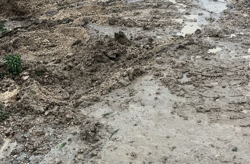 El PSOE exige actuaciones urgentes por los daños de las lluvias en el sur del Torcal