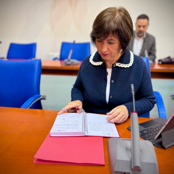 El PSOE de Fuengirola defiende en pleno una financiación autonómica justa para Málaga y exige que el cambio climático se traduzca en actuaciones concretas