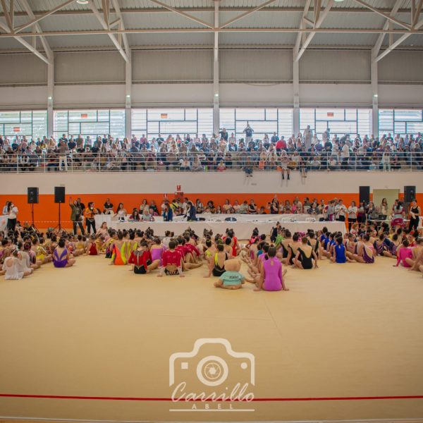 Más de 500 deportistas participan en el II Torneo de Gimnasia Rítmica de Villanueva de Algaidas