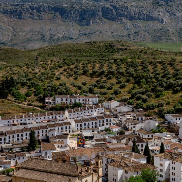 Agricultura abona 4,8 millones a 874 agricultores y ganaderos por daños no cubiertos por sus seguros