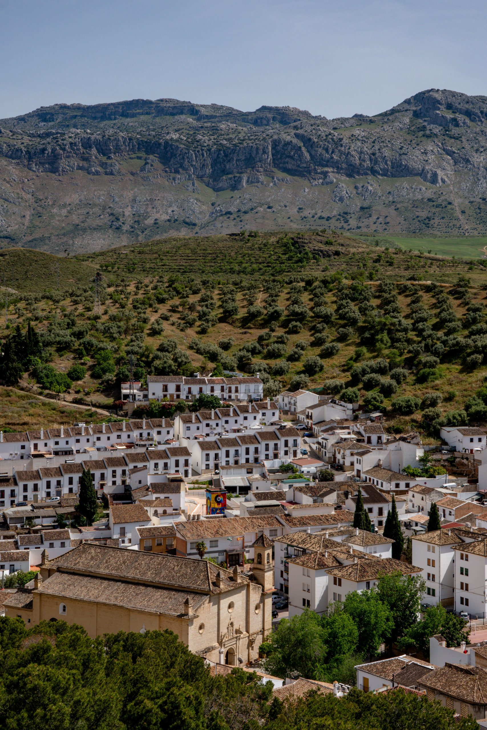 Agricultura abona 4,8 millones a 874 agricultores y ganaderos por daños no cubiertos por sus seguros