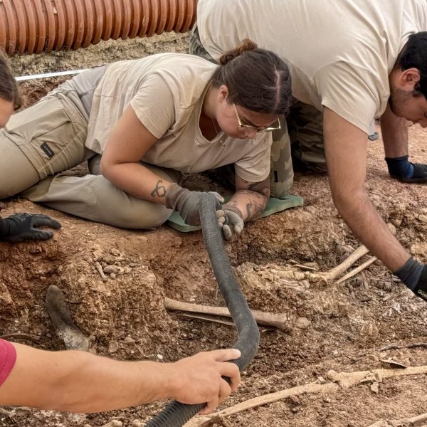 Campillos exhuma seis cuerpos y localiza otras 16 víctimas en su segunda fosa común