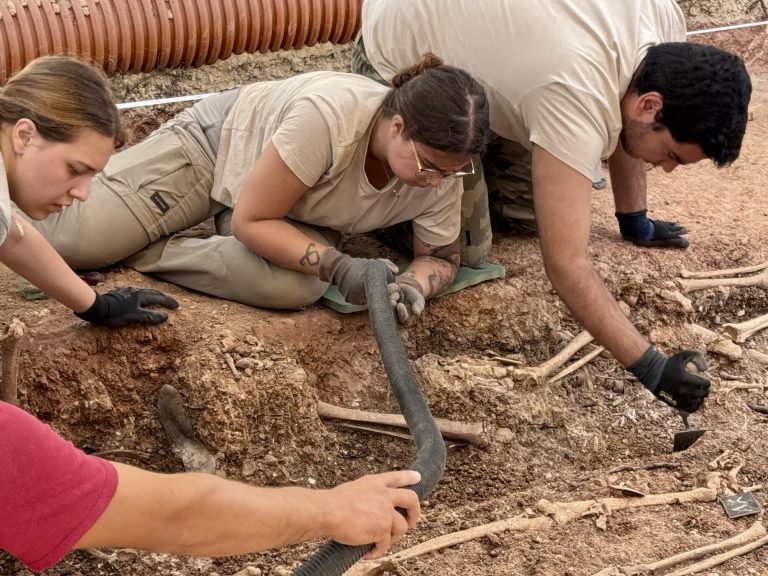 Campillos exhuma seis cuerpos y localiza otras 16 víctimas en su segunda fosa común
