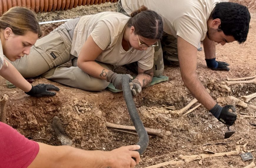 Campillos exhuma seis cuerpos y localiza otras 16 víctimas en su segunda fosa común