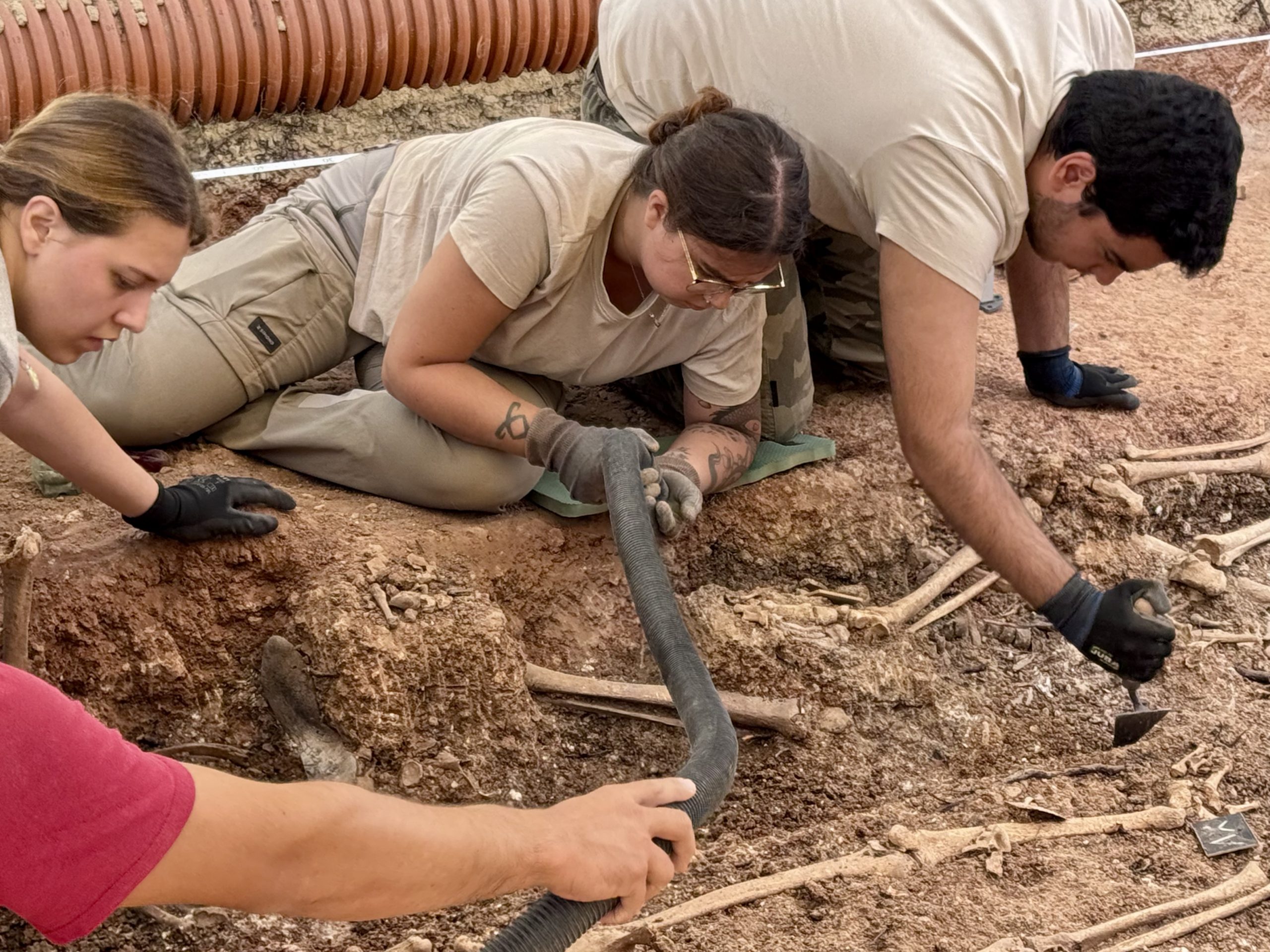 Campillos exhuma seis cuerpos y localiza otras 16 víctimas en su segunda fosa común